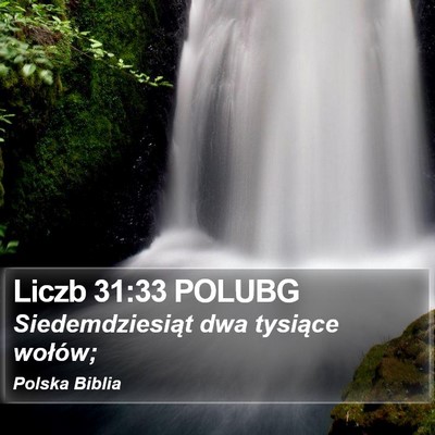 Liczb 31:33 POLUBG Bible Verse Image
