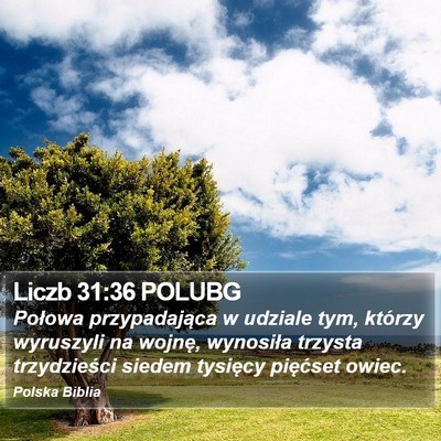 Liczb 31:36 POLUBG Bible Verse Image