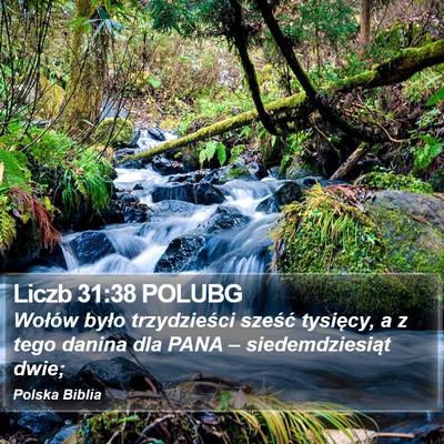 Liczb 31:38 POLUBG Bible Verse Image