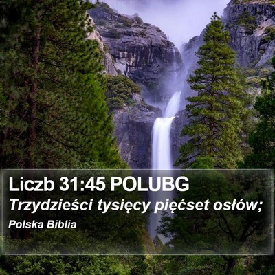 Liczb 31:45 POLUBG Bible Verse Image