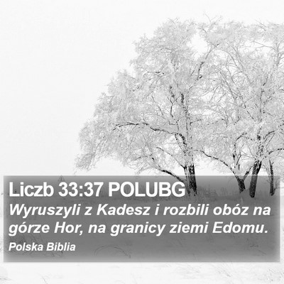 Liczb 33:37 POLUBG Bible Verse Image