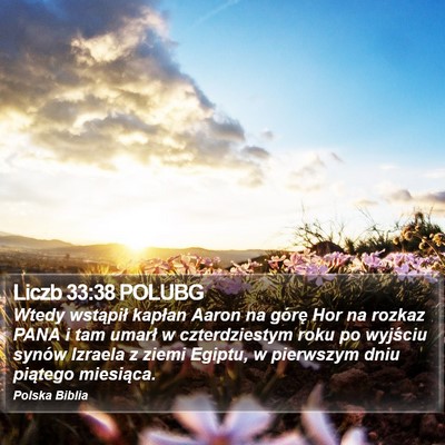 Liczb 33:38 POLUBG Bible Verse Image