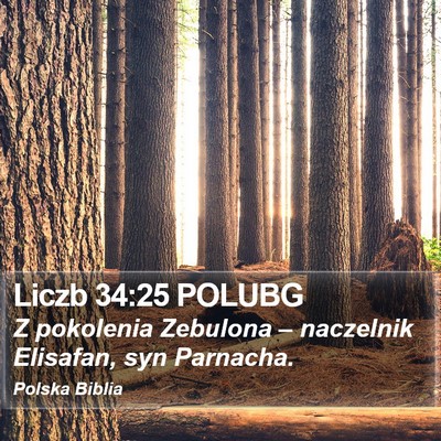 Liczb 34:25 POLUBG Bible Verse Image