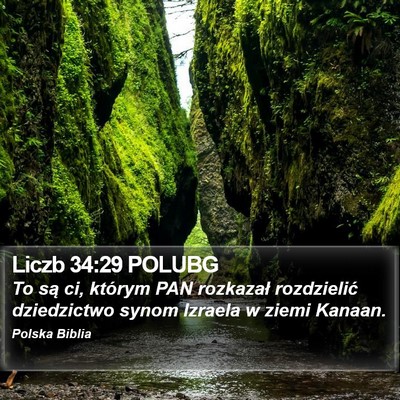 Liczb 34:29 POLUBG Bible Verse Image