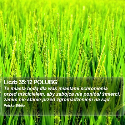 Liczb 35:12 POLUBG Bible Verse Image