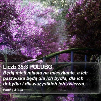 Liczb 35:3 POLUBG Bible Verse Image