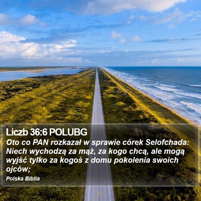 Liczb 36:6 POLUBG Bible Verse Image