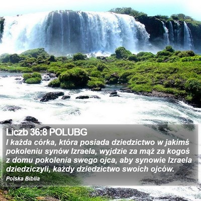 Liczb 36:8 POLUBG Bible Verse Image