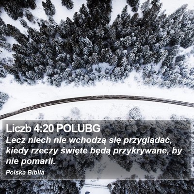 Liczb 4:20 POLUBG Bible Verse Image