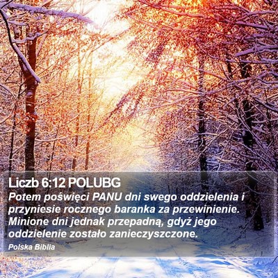 Liczb 6:12 POLUBG Bible Verse Image