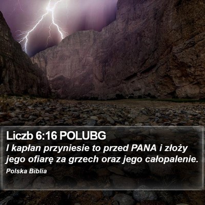 Liczb 6:16 POLUBG Bible Verse Image
