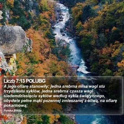 Liczb 7:13 POLUBG Bible Verse Image