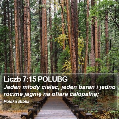 Liczb 7:15 POLUBG Bible Verse Image