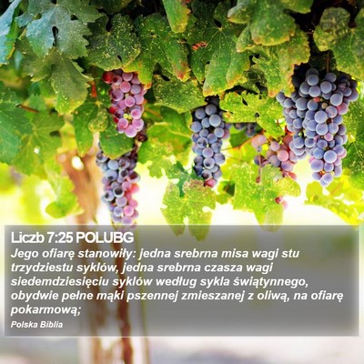 Liczb 7:25 POLUBG Bible Verse Image