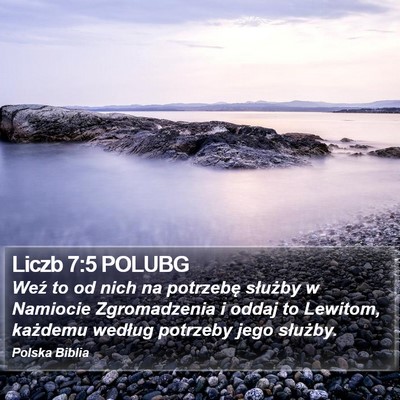 Liczb 7:5 POLUBG Bible Verse Image