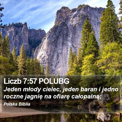 Liczb 7:57 POLUBG Bible Verse Image