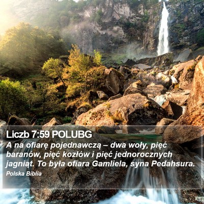 Liczb 7:59 POLUBG Bible Verse Image