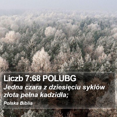 Liczb 7:68 POLUBG Bible Verse Image