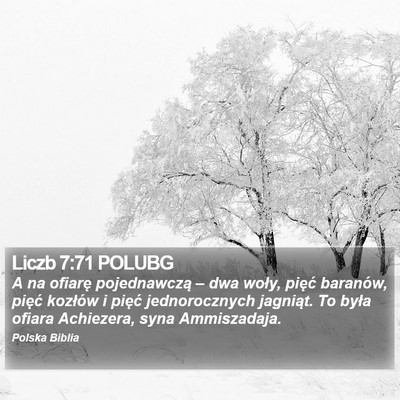 Liczb 7:71 POLUBG Bible Verse Image