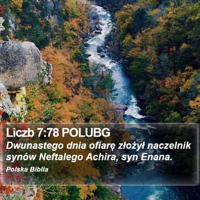 Liczb 7:78 POLUBG Bible Verse Image
