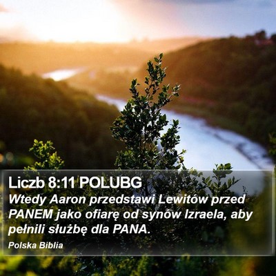 Liczb 8:11 POLUBG Bible Verse Image