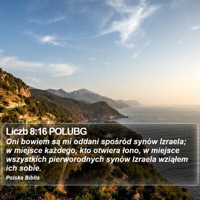 Liczb 8:16 POLUBG Bible Verse Image