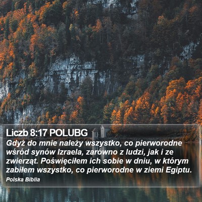 Liczb 8:17 POLUBG Bible Verse Image