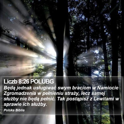 Liczb 8:26 POLUBG Bible Verse Image