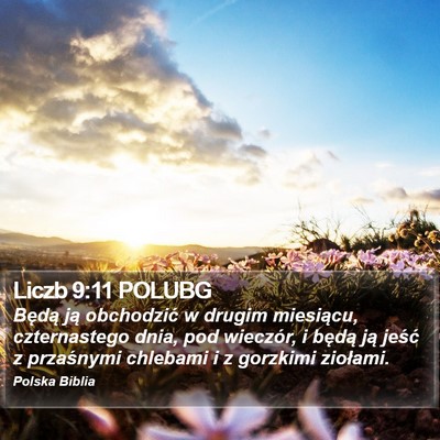 Liczb 9:11 POLUBG Bible Verse Image