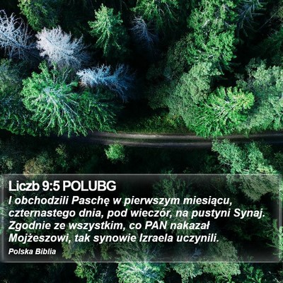 Liczb 9:5 POLUBG Bible Verse Image