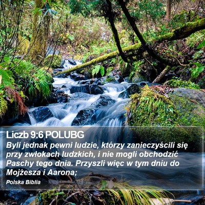 Liczb 9:6 POLUBG Bible Verse Image