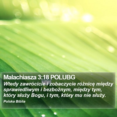 Malachiasza 3:18 POLUBG Bible Verse Image