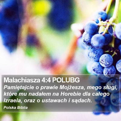 Malachiasza 4:4 POLUBG Bible Verse Image