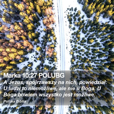 Marka 10:27 POLUBG Bible Verse Image
