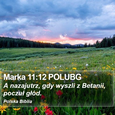 Marka 11:12 POLUBG Bible Verse Image