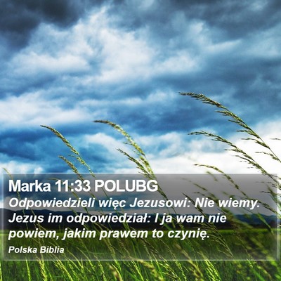 Marka 11:33 POLUBG Bible Verse Image