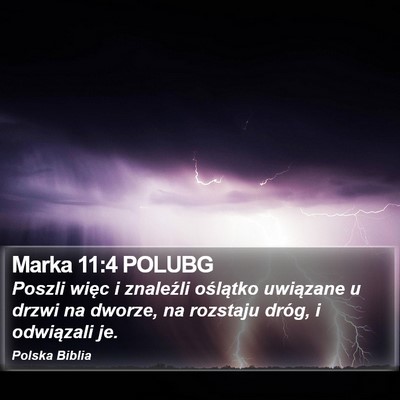 Marka 11:4 POLUBG Bible Verse Image