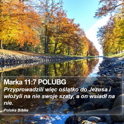 Marka 11:7 POLUBG Bible Verse Image