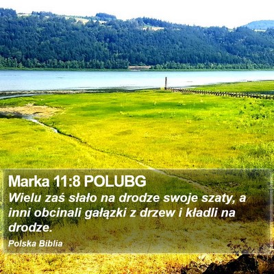 Marka 11:8 POLUBG Bible Verse Image