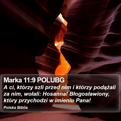 Marka 11:9 POLUBG Bible Verse Image