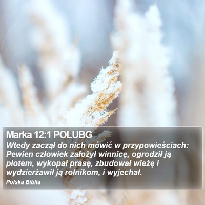 Marka 12:1 POLUBG Bible Verse Image