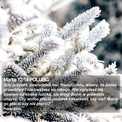 Marka 12:14 POLUBG Bible Verse Image