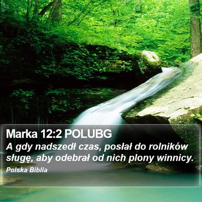 Marka 12:2 POLUBG Bible Verse Image