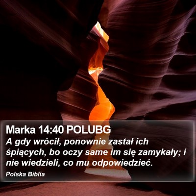 Marka 14:40 POLUBG Bible Verse Image