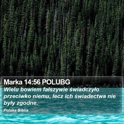 Marka 14:56 POLUBG Bible Verse Image