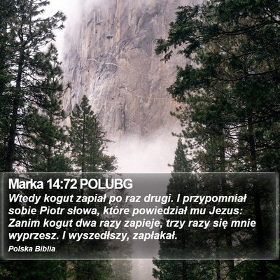 Marka 14:72 POLUBG Bible Verse Image