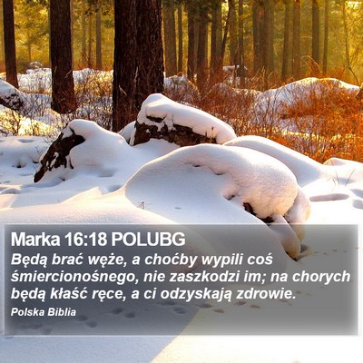 Marka 16:18 POLUBG Bible Verse Image