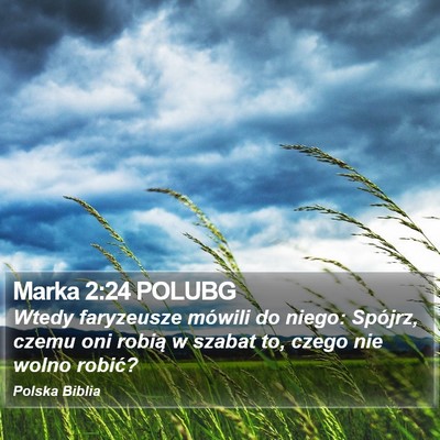 Marka 2:24 POLUBG Bible Verse Image
