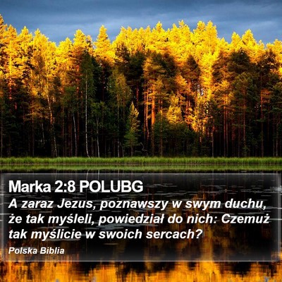Marka 2:8 POLUBG Bible Verse Image