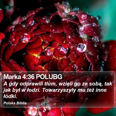 Marka 4:36 POLUBG Bible Verse Image